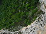 /Rocher/2007/Images/486/mini-Photo FRe 028Icon.jpg